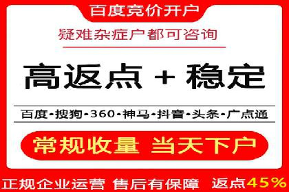 SEM推广代运营公司：实战案例解析